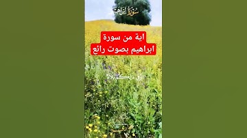 #اكسبلور اية من سورة ابراهيم بصوت رائع #love