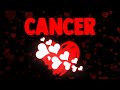 CANCER ❤️DONT BE FOOLED BY THEIR SILENCE🤐THEY'RE IN LOVE😍ABOUT TO GIVE U AN IRRESISTIBLE OFFER
