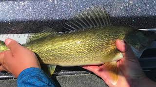 2018 North Dakota Governor's Walleye Cup