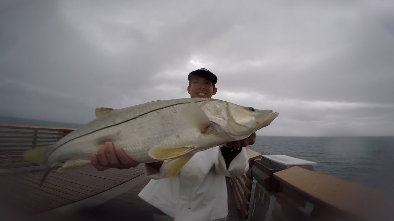 deep blue sea 3 Rain or Shine... (Juno Pier Snook Fishing)