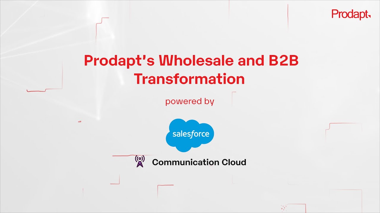 Prodapt Code Examples Prodapt's B2B Wholesale Expertise I Powered by Salesforce ...