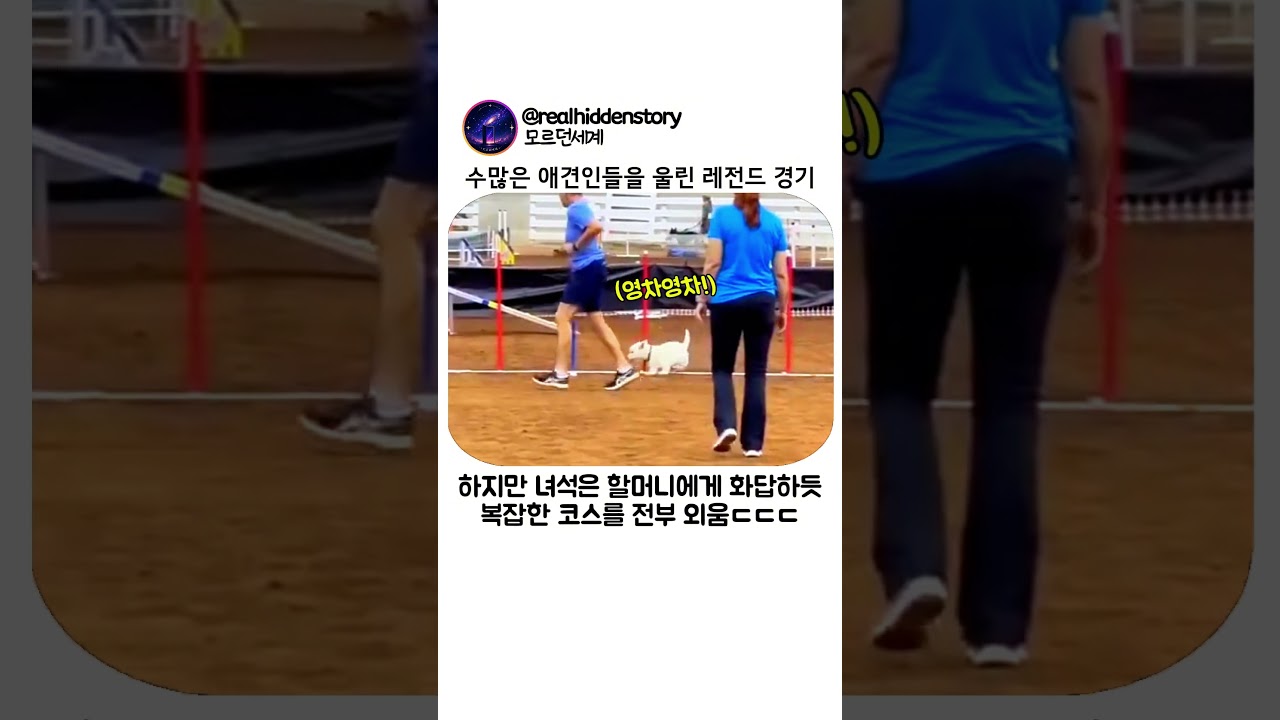 수많은 애견인들을 울린 레전드 경기