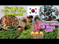 #174 RA THĂM VƯỜN RAU XANH MƯỚT CỦA MẸ,  CÙNG LÀM KIMCHI HÀNH. BỮA CƠM GIA ĐÌNH TẠI LÀNG QUÊ HQ