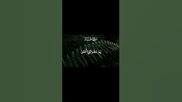 ومن أعرض عن ذكري فإن له معيشة ضنكا | سورة طه | القارئ الشيخ محمد ايوب رحمه الله