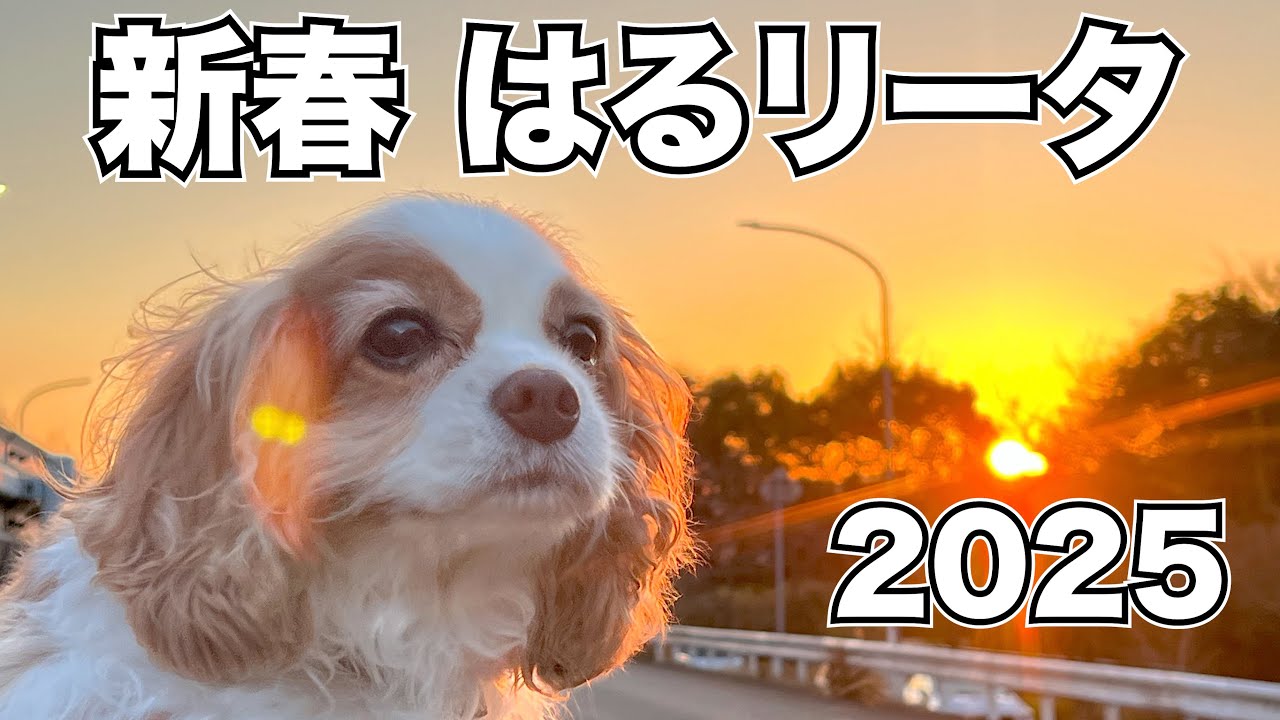 【2025新春】初はるリータ、初日の出＆初詣にお出かけしました