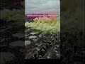 Siperlere Ölüm Bulutu: 1. Dünya Savaşı Gaz Saldırısı ☠️🌫️