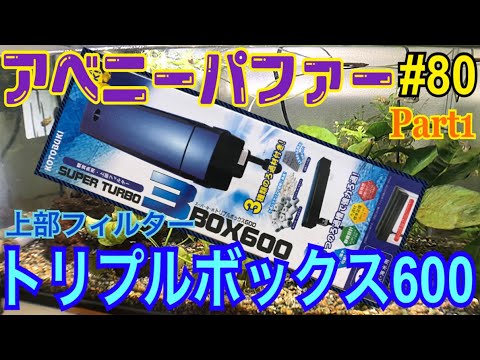 アベニーパファー 80 トリプルボックス600の中身を紹介するよ Youtube