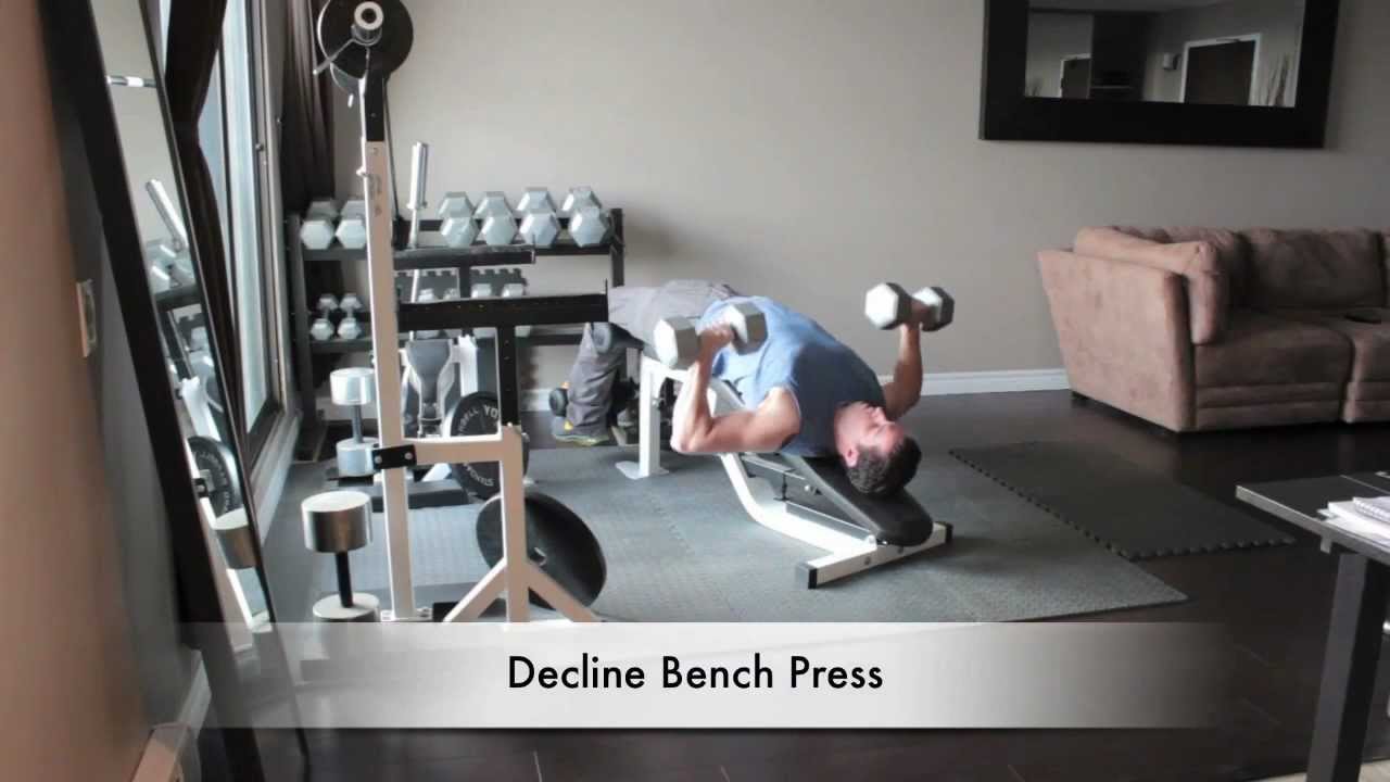 Dumbbell Chest Exercises - Decline Bench Press - YouTube