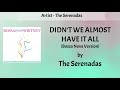 Didn&#39;t We Almost Have It All (Bossa) Lyrics Video - The Serenadas