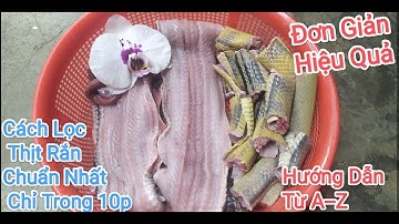 Cách Lọc Thịt Rắn,Rút Xương Rắn Hổ Ngựa Chuẩn Nhất Chỉ Trong 10p