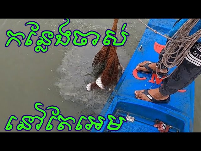 Best fishing | Amazing Traditional Cast Net Fishing |​ #524 #Netfishing #CastNet class=