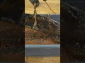 restoration of 103 years old knife with asmr #restoration #rextorer #restore