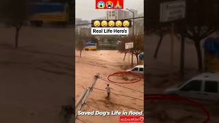 Omg!😢 | This Man Is Real Superhero,He Saved A Dog In Flood😱