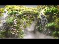 Verdant Canyon Overflowing with Luxuriant Vegetation