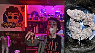 PERMANENT CHIMERA STRAIN REVIEW SESH 💨💨💨 