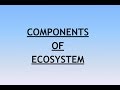 Environment and Ecology Lecture 2 - Components of Ecosystem