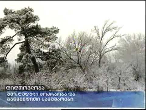 დიდთოვლობა