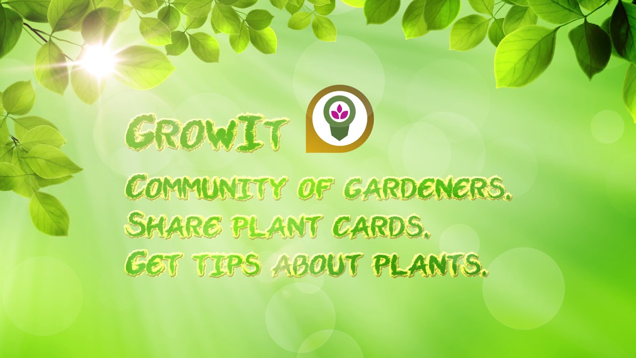 5 Best Gardening Apps To Help You Grow Your Garden Better Youtube