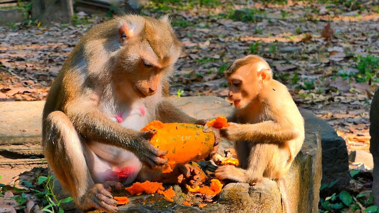 Libby’s Family Enjoys Their Meal Together | Sovana Troop