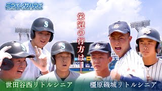 世田谷西リトルシニア Setagaya West Little Senior