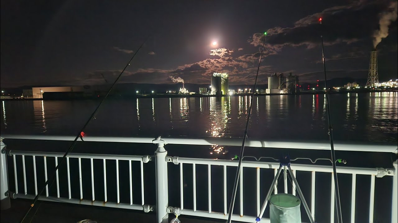 【福島県相馬港】【11月2日】サビキ、ぶっ込み、泳がせ