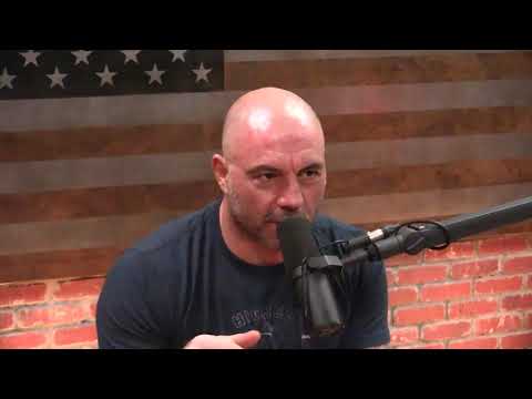 Joe Rogan Experience