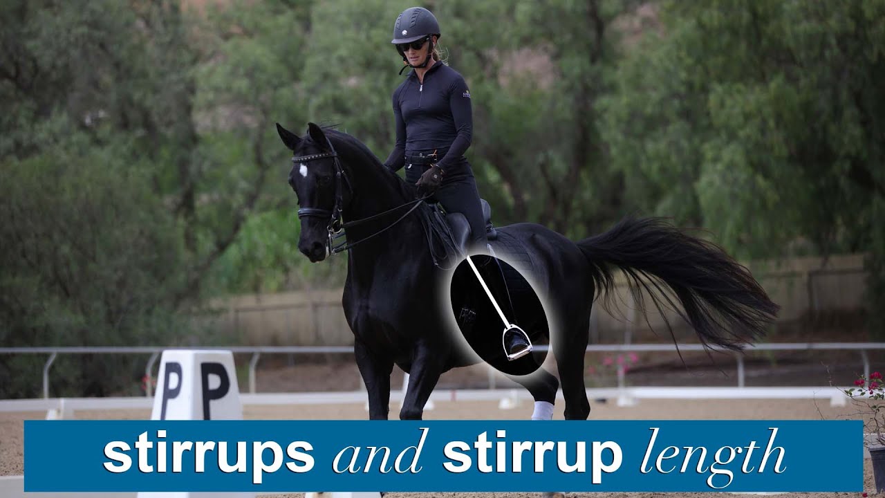 Your stirrup length what's too long, too short, just right?