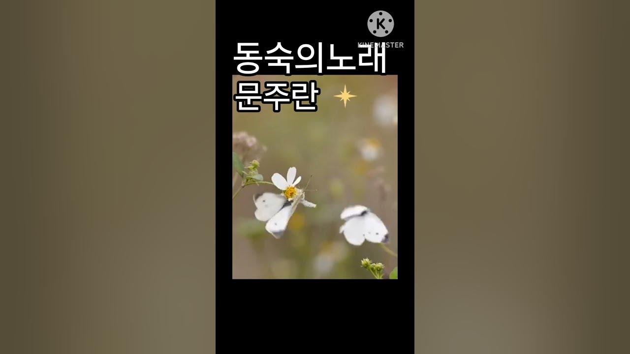 동숙의노래 cover 양태정