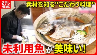 【人気店】エイ＆ウツボも!? 安くて美味い”未利用魚”のこだわりメニュー『every.特集』