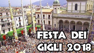 FESTA DEI GIGLI 2018. NOLA, ITALIA. Фантастичне свято в м.Нола, Італія