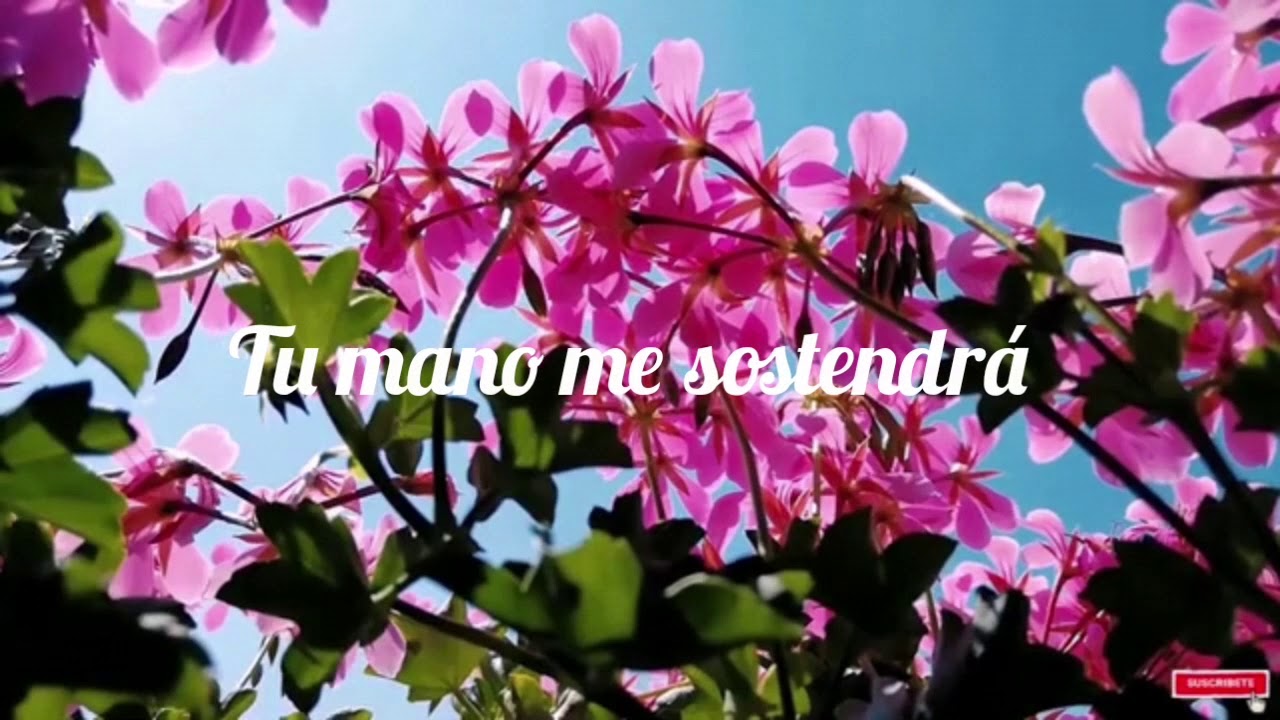 afirmemos la fe pista y letra