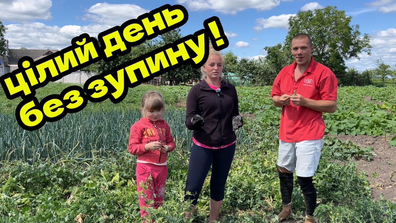 Коса гуде, горох летить, Yamaha чекає!