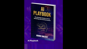 AI Playbook by Joanne Sweeney