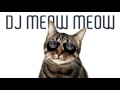 Dj meow meow  deep house session 001