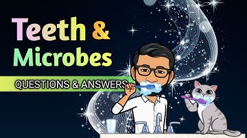 Class 4 Science | Chapter 2 | Teeth and Microbes | Questions and Answers