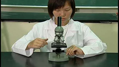 53 顯微鏡的使用方法 - 天天要聞