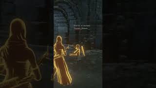 look at this pin action 😂 with @LonePear #darksoulsiii #jollycooperation