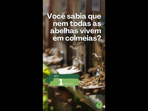 #shorts Você sabia