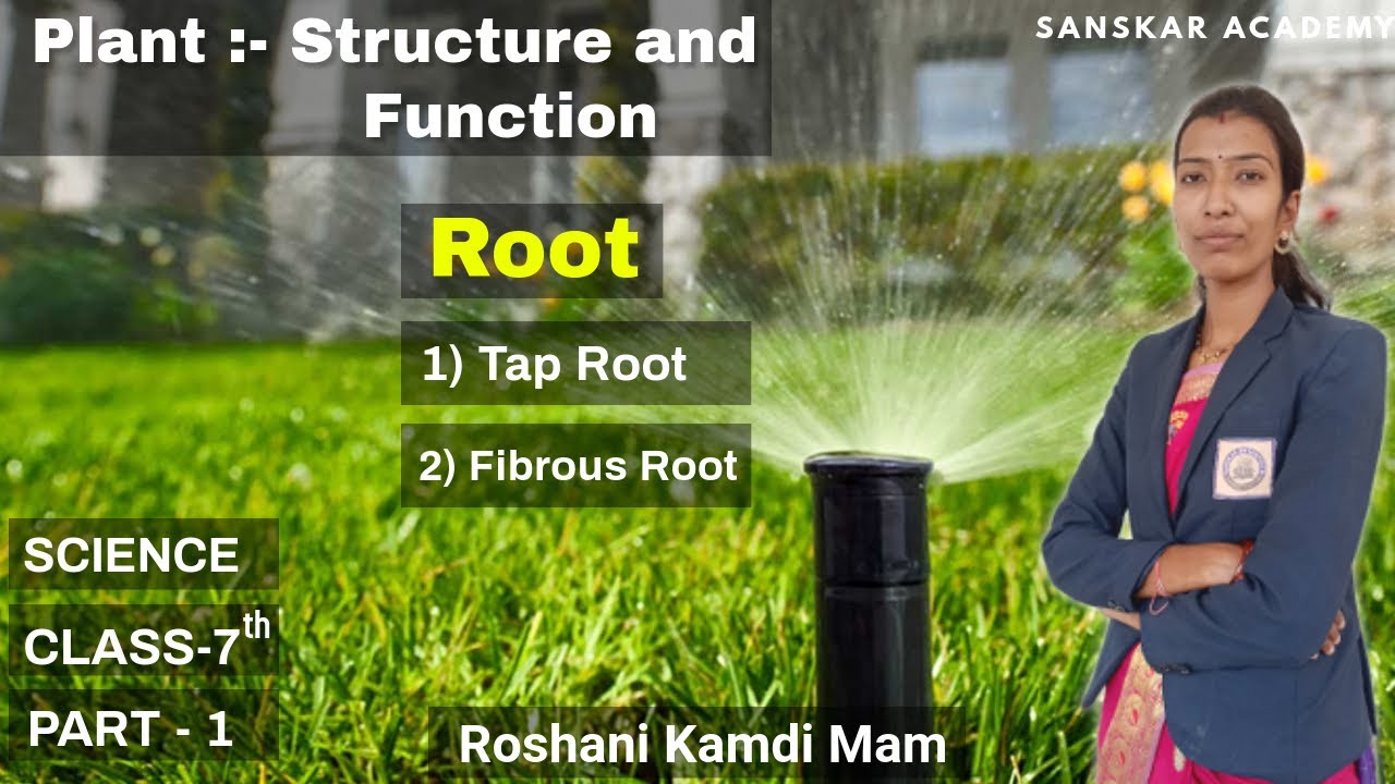 Plant - Structure and Function | Science | Class 7th | Sanskar Academy