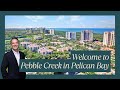 Welcome to Pebble Creek in Pelican Bay | Naples Chad