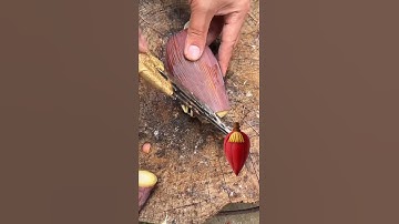 Rt 7059  mini rotary tillage and ridging all-in one tree 🌲 short view #travel #beach #flowers