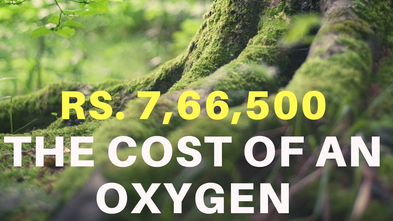 THE COST OF AN OXYGEN YouTube