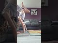 Hand Stand 