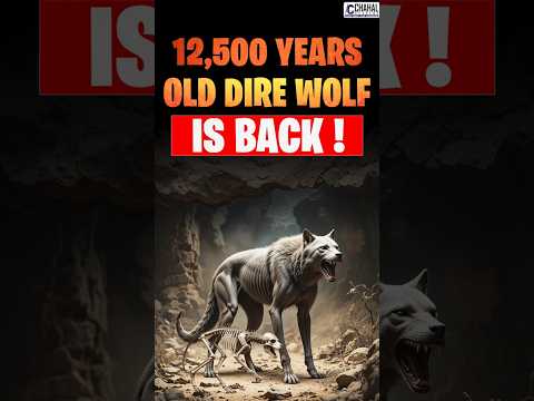 12,500 Years Old