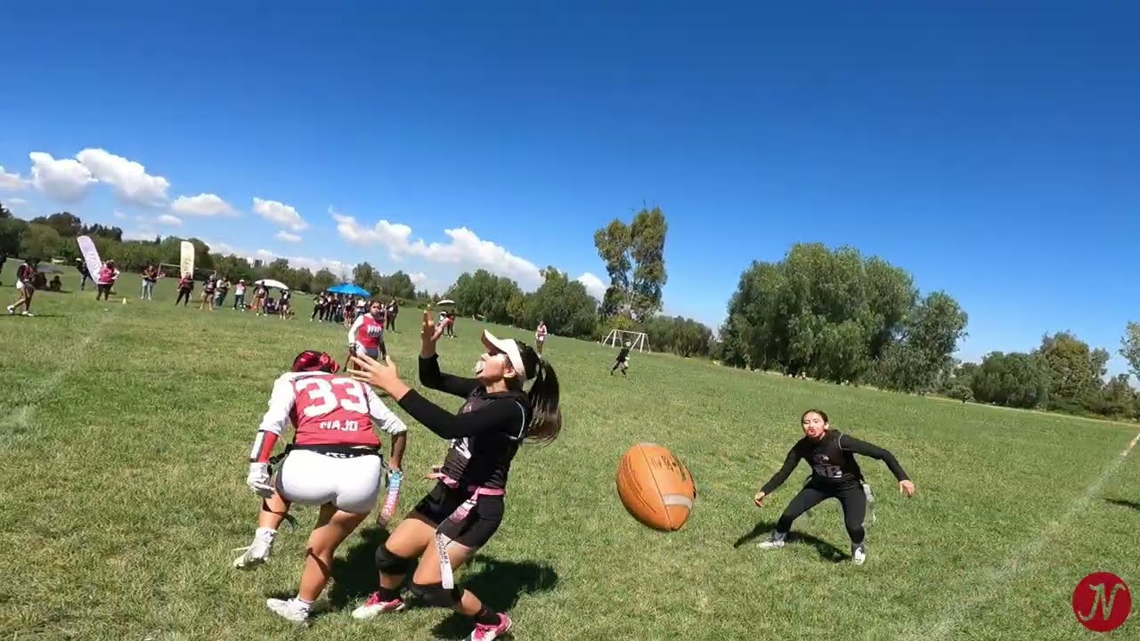 Ninners vs Hawks final