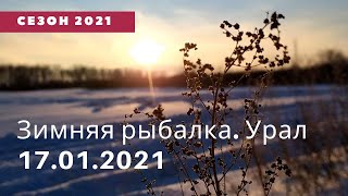 ЗИМНЯЯ РЫБАЛКА. УРАЛ. 17.01.21