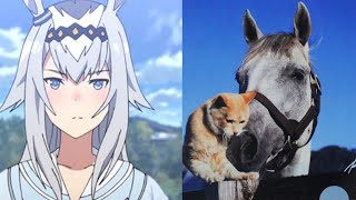 Uma Musume's Real History - Oguri Cap's final race (Arima Kinen 1990)