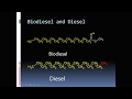 Biodiesel Chemistry  Part 1 | Vegetable oil or biodiesel as fuel  in diesel engines