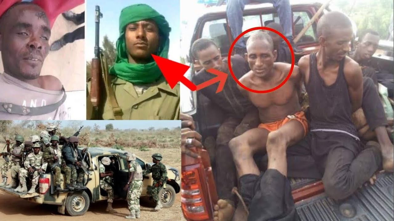 Бандиты попали в засаду в лесу Джигава во время утреннего рейда