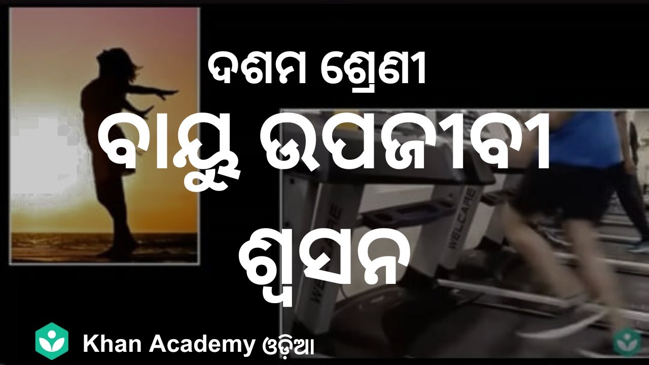 Aerobic Respiration ODIA Respiration Class 10 Biology Khan Aerobic respiration odia respiration class 10 biology khan
